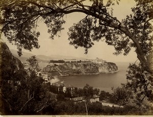 France Monaco panorama Olive trees Old photo Gilletta 1880