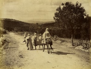 Algeria Algiers near the city Men & Mule old Photo Neurdein 1890