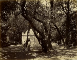 Algeria Blidah Sacred Wood Marabout of Sidi-Yacoub old Photo Neurdein 1890