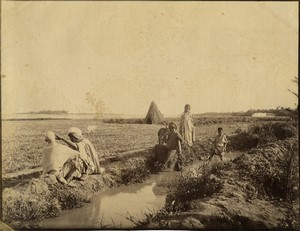 Algeria Biskra Garden Landon old Photo Studio 1890