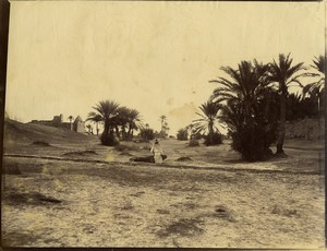 Algeria Biskra the old Turkish fort old Photo Studio 1890