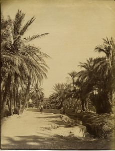 Algeria Biskra road of Touggourt old Photo Studio 1890