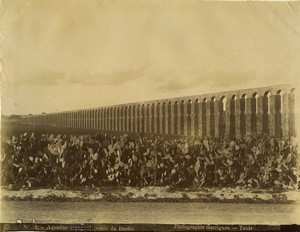 Tunisia Tunis roman aqueduct Prickly Pear Cactus old Photo Garrigues 1890