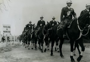 Germany Berlin US Army Mounted Police Horses old Photo 1953