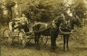 USA carriage pulled by two horses old Photo 1910
