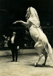 France circus  Alexis Gruss training a stallion old Photo 1972