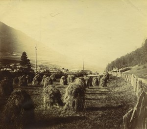 Switzerland or Italy? Alps Haystacks in field Old amateur snapshot Photo 1900 #1