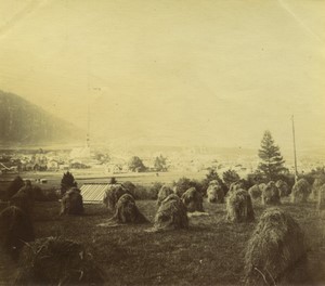 Switzerland or Italy? Alps Haystacks in field Old amateur snapshot Photo 1900 #2