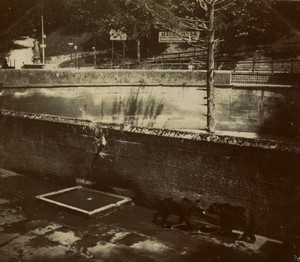 Switzerland Bern Zoo Bear enclosure Old Photo 1900