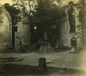France Jumieges the ruins of the abbey old amateur photo 1900 #4