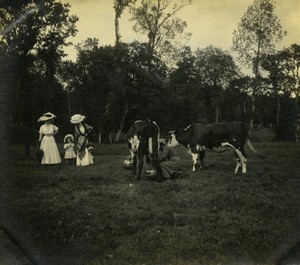 France Normandy countryside Tourists in field Milking cow amateur photo 1900 #1
