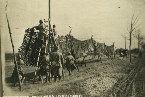 France Marne WWI Livry Camouflaged road Old Photo 1918