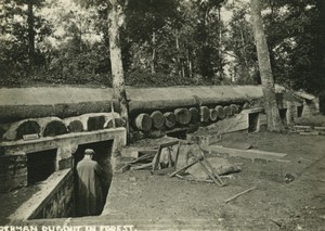 France WWI German Dugout in Forest Old Photo 1918