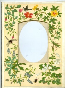 Page d'Album Photo Ancien 205x280mm pour Carte Cabinet Insectes Fleurs vers 1880