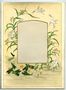 Page d'Album Photo Ancien 205x280mm pour Carte Cabinet Aigrette Nénuphar vers 1880