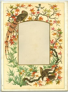 Page d'Album Photo Ancien 205x280mm pour Carte Cabinet Oiseaux vers 1880