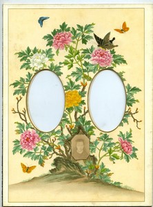 Page d'Album Photo Ancien 205x280mm pour 2 CDV Papillons vers 1880