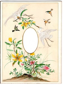 Page d'Album Photo Ancien 205x280mm pour 1 CDV Aigrette Oiseaux vers 1880