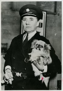 London Dog Expo commandant M. S. Allen chief of Women Police Old Photo 1930