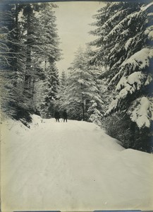 France WWI Jura? paysage hivernal ancienne photo 1914-1918 #1