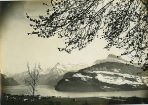 Suisse Vue de Seelisberg depuis Brunnen ancienne photo Gaberell 1920