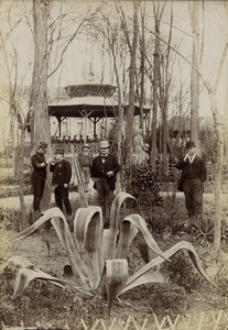 Algeria Bled Chaaba Group in Garden Military Men Old Photo 1900