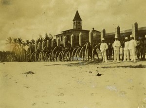 Tanzania Bagamoyo Elephant Tusks Customs Office Old Photo 1900