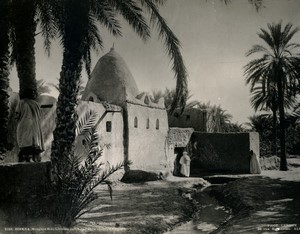 Algeria Biskra Sidi Lachsen Lahsen Mosquee Old Photo Leroux 1900