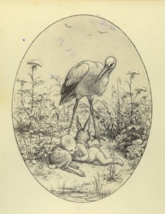 Germany Lose Blätter by Albert Hendschel Toddler, Hare & Heron old Photo 1882