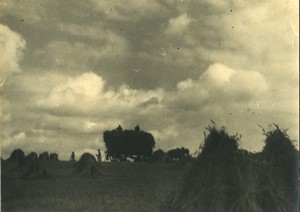 Belgium? Wheat Harvest Countryside Clouds Pictorialism Old Art Photo ALF 1944