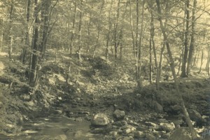 Belgium? Stream in a forest Pictorialism Old Art Photo ALF 1944