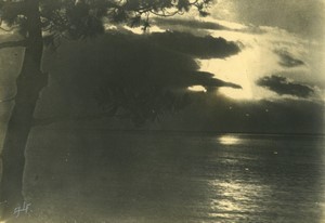 Belgium? Tree by Seaside Lake side? Sunset? Pictorialism Old Art Photo ALF 1944