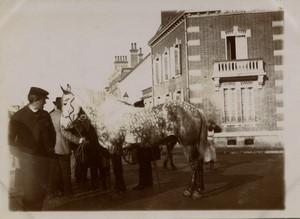 France Chartres Sale of a horse? Old amateur Photo 1920 #1