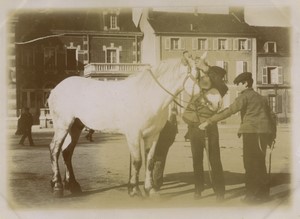 France Chartres Sale of a horse? Old amateur Photo 1920 #2