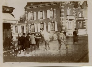 France Chartres Sale of a horse? Old amateur Photo 1920 #3