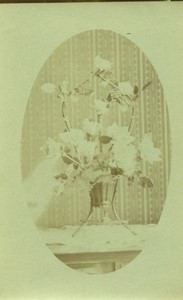 France flowers floral arrangement Still Life Old Photo 1910