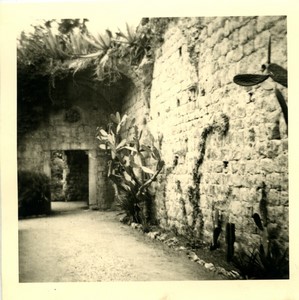 Croatie Dubrovnik Ile de Lokrum couvent des Benedictins ancienne Photo Snapshot amateur 1962 #3