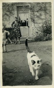 France Lady Toddler & Cat Old Amateur Photo snapshot 1940