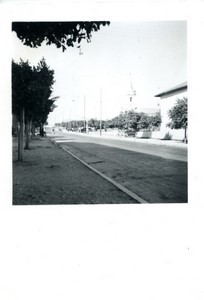 France/Algeria Assi Bou nif rue Principale Old Amateur Photo snapshot 1957 #1