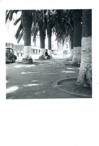 France/Algeria Arzew town centre square Old Amateur Photo snapshot 1957