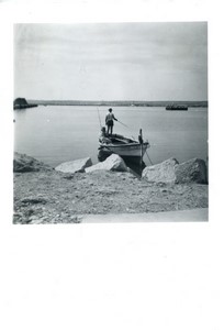 France/Algeria Arzew fishing harbour Old Amateur Photo snapshot 1957 #2