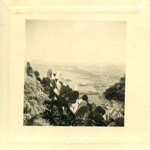 France/Algeria Oran Harbour view from Santa Cruz Amateur Photo snapshot 1958 #1