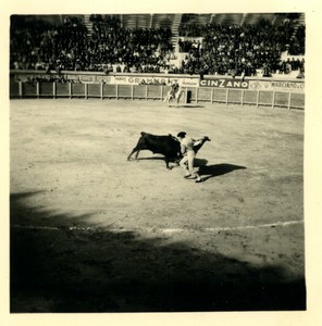 France/Algeria Oran Arena Corrida Bullfighting Old Photo snapshot 1957 #1