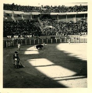 France/Algeria Oran Arena Corrida Bullfighting Old Photo snapshot 1957 #2