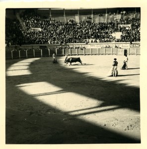 France/Algeria Oran Arena Corrida Bullfighting Old Photo snapshot 1957 #3