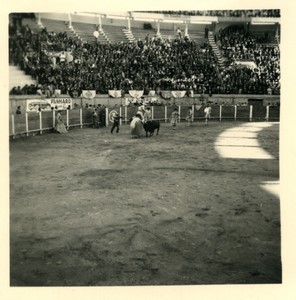 France/Algeria Oran Arena Corrida Bullfighting Old Photo snapshot 1957 #6