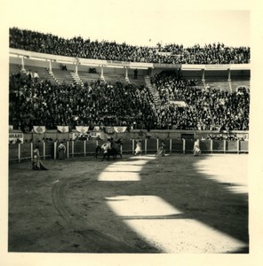 France/Algeria Oran Arena Corrida Bullfighting Old Photo snapshot 1957 #7