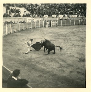 France/Algeria Oran Arena Corrida Bullfighting Old Photo snapshot 1957 #8