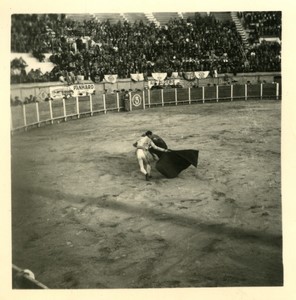 France/Algeria Oran Arena Corrida Bullfighting Old Photo snapshot 1957 #9