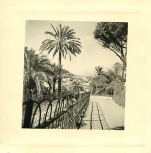 France/Algeria Oran Promenade de l'Etang near Port Old Photo snapshot 1958 #1